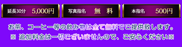 「料金システム」